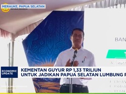 Kementan Guyur Rp1,33 T untuk Lumbung Pangan Papua Selatan