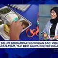 Pasok Ayam Untuk MBG, Peternak Ayam Catat Lonjakan Permintaan 16%