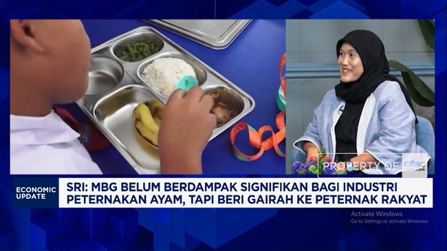 Video: Pasok Ayam MBG, Peternak Ayam Catat Lonjakan Permintaan 16%