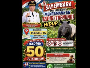 Sayembara Tangkap Tapir Hidup-hidup Berhadiah Rp 50 Juta
