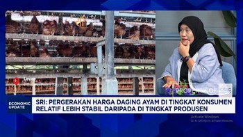 Strategi Pengusaha Ayam Cegah Anjloknya Harga Ayam di Tengah Tekanan Demand