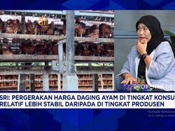 Strategi Pengusaha Ayam Cegah Anjloknya Harga Ayam di Tengah Tekanan Demand