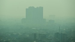 Video IDAI: 13,3% Anak yang Tampak Sehat Alami Penurunan Paru-paru