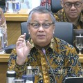 Gubernur Bank Indonesia, Perry Warjiyo saat mengikuti rapat kerja dengan Banggar DPR RI di Komplek Parlemen, Jakarta, Selasa (7/7/2026). (Tangkapan Layar Youtube/TVR Parlemen)