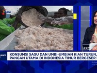 Konsumsi Sagu & Umbi Indonesia Timur Turun Bergeser ke Beras, Apa Sebabnya?