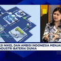 Perkuat Industri Baterai EV Dalam Negeri, Industri Nikel Butuh Insentif Ini