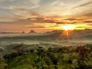 Gunung Pandan Bojonegoro: Lokasi, Daya Tarik dan Fakta Menarik