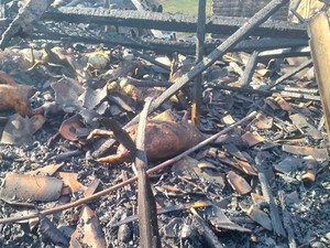 Kandang di Brebes Terbakar, 25 Kambing Mati Terpanggang