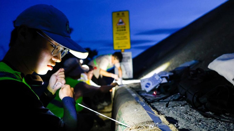 Para sukarelawan memasang karung kopi bekas ke tembok laut sebagai bagian dari proyek untuk membantu kepiting bakau mencapai laut untuk bertelur selama musim kawin tahunan di Taman Nasional Taijiang di Tainan, Taiwan, 3 Juli 2026. (REUTERS/Ann Wang)