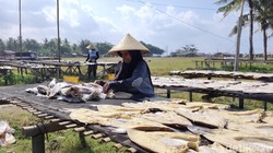 Infografis: Segudang Manfaat Ikan Asin yang Luar Biasa