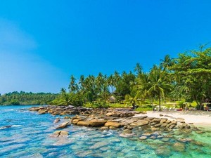 Berenang Bareng 4 Spesies Ubur-ubur Tanpa Sengat di Pulau Kakaban Kalimantan