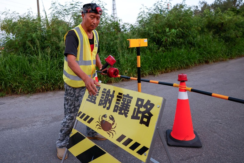 Relawan Wu Ruei-chang, 60 tahun, seorang mekanik mobil, memasang penghalang jalan selama musim kawin kepiting bakau tahunan di Taman Nasional Taijiang di Tainan, Taiwan, 3 Juli 2026. (REUTERS/Ann Wang)