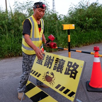Relawan Wu Ruei-chang, 60 tahun, seorang mekanik mobil, memasang penghalang jalan selama musim kawin kepiting bakau tahunan di Taman Nasional Taijiang di Tainan, Taiwan, 3 Juli 2026. (REUTERS/Ann Wang)
