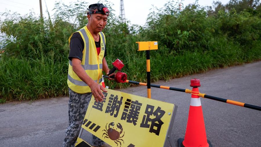 Relawan Wu Ruei-chang, 60 tahun, seorang mekanik mobil, memasang penghalang jalan selama musim kawin kepiting bakau tahunan di Taman Nasional Taijiang di Tainan, Taiwan, 3 Juli 2026.