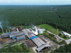 Agrinas Palma Nusantara Bukukan Surplus Operasional Rp 2,86 T pada 2025