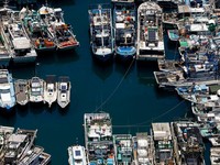 Fishing boats are moored at Suao Port as fishermen take precautions ahead of Typhoon Bavi in Yilan, Taiwan, July 9, 2026. REUTERS/Ann Wang