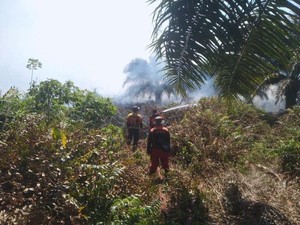 Karhutla Kepung Kobar! 8 Hektare Terbakar di 6 Lokasi dalam 2 Hari