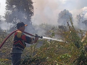 Karhutla Muncul di 3 Titik Sekaligus, BPBD Kobar Kerja Ekstra Padamkan Api