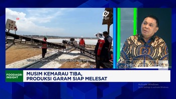 Produksi Pakai Teknologi Canggih, PT Garam Gaet Investor Saudi, Jerman - China