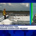 PT Garam Incar Produksi 140 Ribu Ton - Serap Tenaga Kerja 25.000 di Ladang K-SIGN NTT