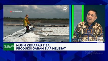 PT Garam Incar Produksi 140 Ribu Ton - Serap Tenaga Kerja 25.000 di Ladang K-SIGN NTT