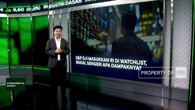 SdanP DJI Masukkan RI di Watchlist, Bakal Sengeri Apa Dampaknya?