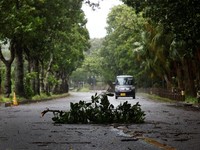 A tree branch falls on a road after heavy rain as Typhoon Bavi approaches, in Ishigaki, Japan, July 10, 2026.  REUTERS/Kim Kyung-Hoon