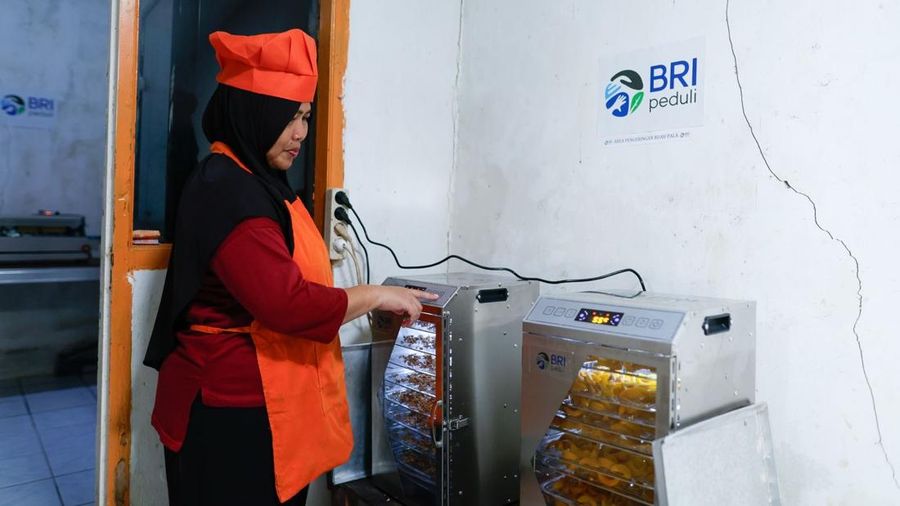 Dok BRI