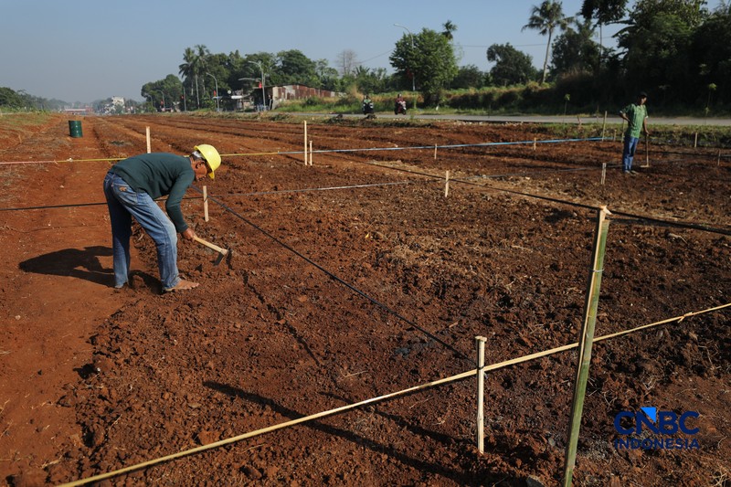 Petani melakukan pembangunan lahan pertanian di kawasan Jalan Raya Bojonggede - Kemang (Bomang), Kabupaten Bogor, Jawa Barat, Jumat (10/7/2026). (CNBC Indonesia/Tri Susilo)