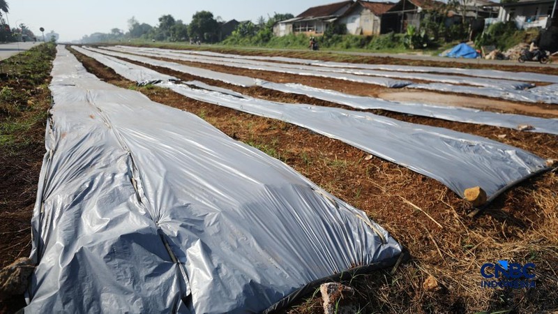 Lahan Tidur Bojonggede-Kemang (Bomang)