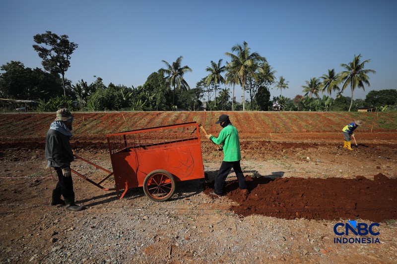 Petani melakukan pembangunan lahan pertanian di kawasan Jalan Raya Bojonggede - Kemang (Bomang), Kabupaten Bogor, Jawa Barat, Jumat (10/7/2026). (CNBC Indonesia/Tri Susilo)