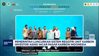Pemerintah Luncurkan SRUK, Investor Asing Incar Pasar Karbon RI