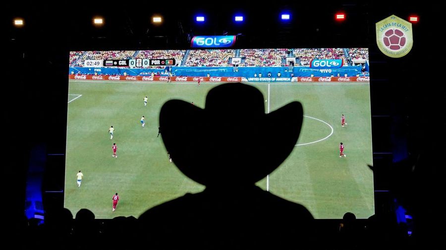 SOCCER-WORLDCUP/FANS
