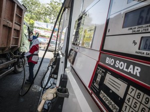 Kata Pengemudi Mobil Angkutan Usai Pakai B50