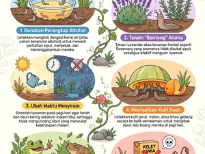 Infografis: 6 Cara Basmi Putancang yang Bikin Tanaman di Rumah Mati