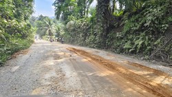 Jalan Menuju Lokasi Wisata Bukit Lawang Rusak Parah