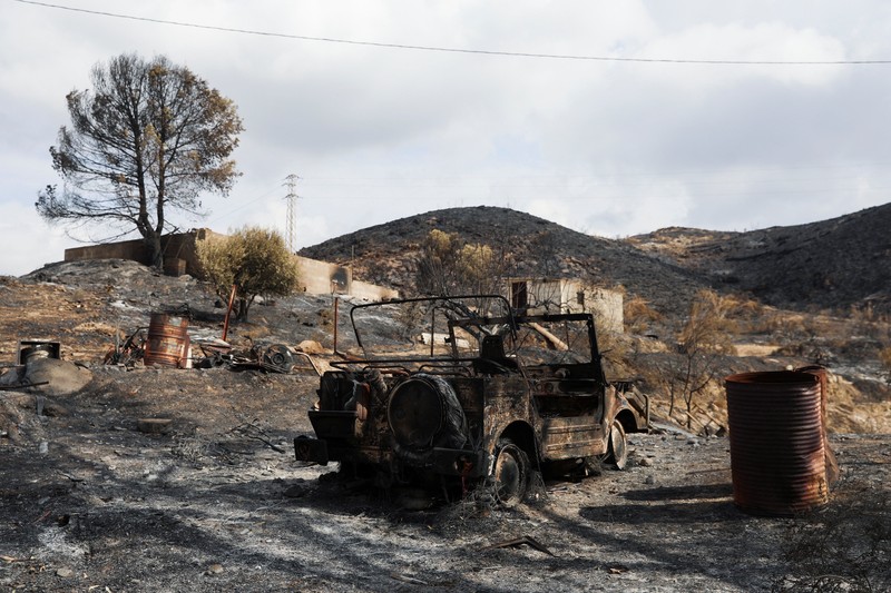 Sebuah kendaraan yang terbakar di area yang terbakar setelah kebakaran hutan mematikan di Almocaizar, Almeria, Spanyol, 12 Juli 2026. (REUTERS/Loyola Perez de Villegas Muniz)