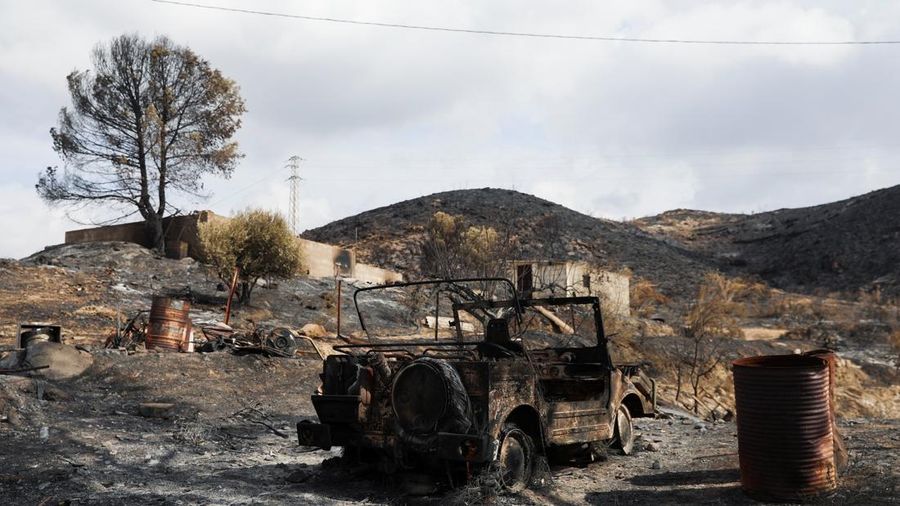 Sebuah kendaraan yang terbakar di area yang terbakar setelah kebakaran hutan mematikan di Almocaizar, Almeria, Spanyol, 12 Juli 2026. (REUTERS/Loyola Perez de Villegas Muniz)