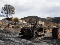 Sebuah kendaraan yang terbakar di area yang terbakar setelah kebakaran hutan mematikan di Almocaizar, Almeria, Spanyol, 12 Juli 2026. (REUTERS/Loyola Perez de Villegas Muniz)