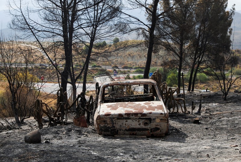 Sebuah kendaraan yang terbakar di area yang terbakar setelah kebakaran hutan mematikan di Almocaizar, Almeria, Spanyol, 12 Juli 2026. (REUTERS/Loyola Perez de Villegas Muniz)