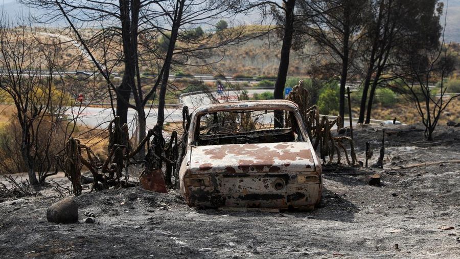 Sebuah kendaraan yang terbakar di area yang terbakar setelah kebakaran hutan mematikan di Almocaizar, Almeria, Spanyol, 12 Juli 2026.
