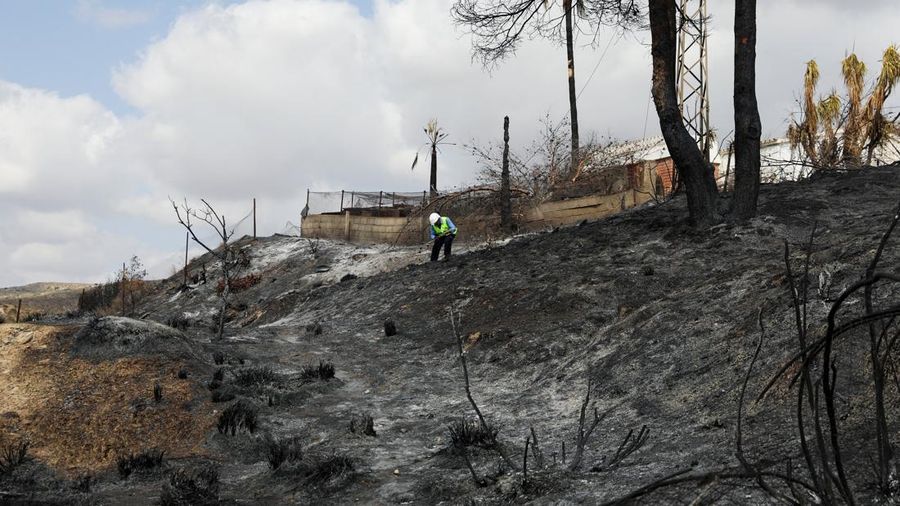 Seorang pekerja dari perusahaan listrik Endesa memeriksa kabel listrik di area yang terbakar setelah kebakaran hutan mematikan di Almocaizar, Almeria, Spanyol, 12 Juli 2026.