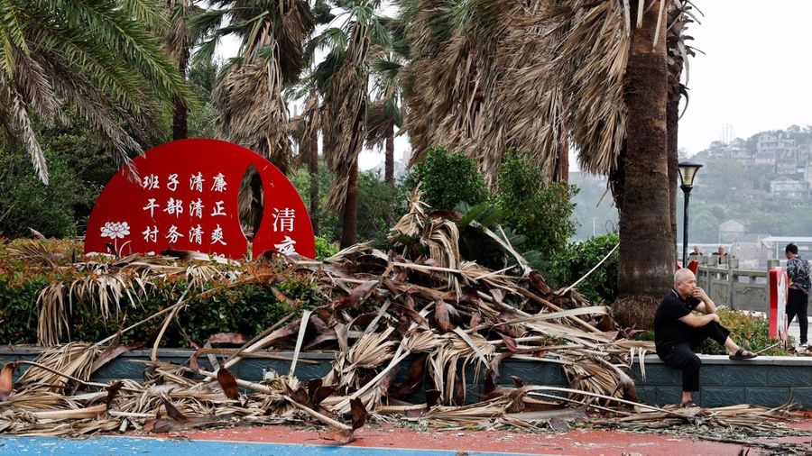 Seseorang duduk di samping dedaunan palem yang gugur setelah Topan Bavi melanda desa pesisir Diaocaocun, Taizhou, provinsi Zhejiang, Tiongkok, 12 Juli 2026.