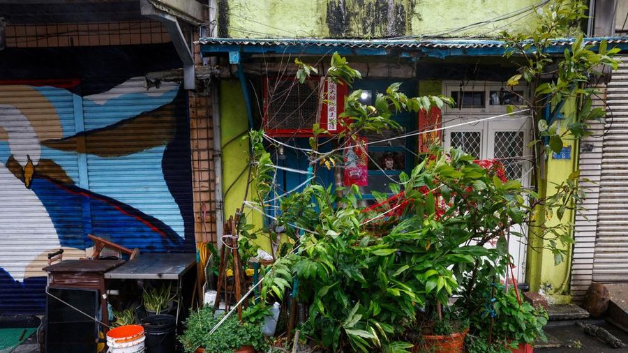 Tanaman dalam pot diamankan di luar sebuah rumah saat Topan Bavi mendekati pantai utara Taiwan di Keelung, Taiwan, 11 Juli 2026.