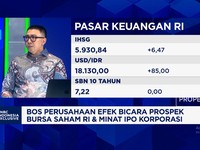 Bos Efek Prospek IPO Korporasi & Sektor Yang Prospek Cuan di Tengah Ketidakpastian