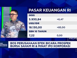 Bos Efek Prospek IPO Korporasi & Sektor Yang Prospek Cuan di Tengah Ketidakpastian