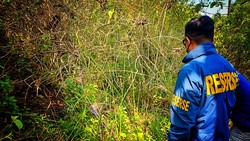 Wanita Tinggal Kerangka di Hutan Sukabumi Ternyata Korban Pembunuhan