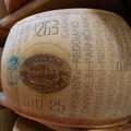 Pola bintik-bintik pada kulit keju yang memastikan keaslian keju Parmigiano Reggiano di ruang penyimpanan keju Credito Emiliano, bagian dari persediaan yang dimatangkan hingga 36 bulan, di Montecavolo di Quattro Castella, Italia, 6 Juli 2026. (REUTER