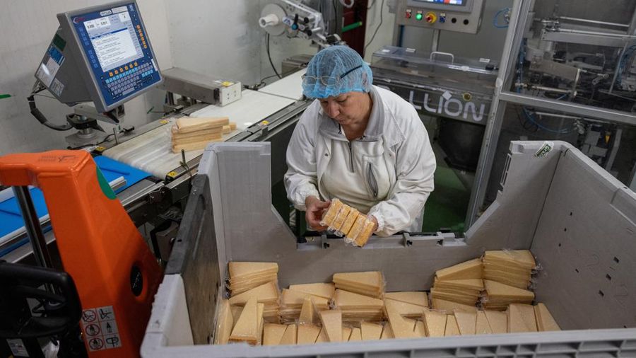 Seorang pekerja memeriksa kemasan keju Parmigiano Reggiano yang tersegel di ujung jalur otomatis di Caseifici GranTerre, tempat manajemen mengatakan gelombang panas berkepanjangan menambah biaya produksi, di Montecavolo di Quattro Castella, Italia, 6 Juli 2026.