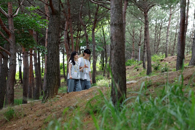 Para peserta berjalan di sekitar halaman kuil Naksansa selama program perjodohan kuil Buddha untuk pria dan wanita lajang di Yangyang, Korea Selatan, 11 Juli 2026. (REUTERS/Kim Soo-hyeon)
